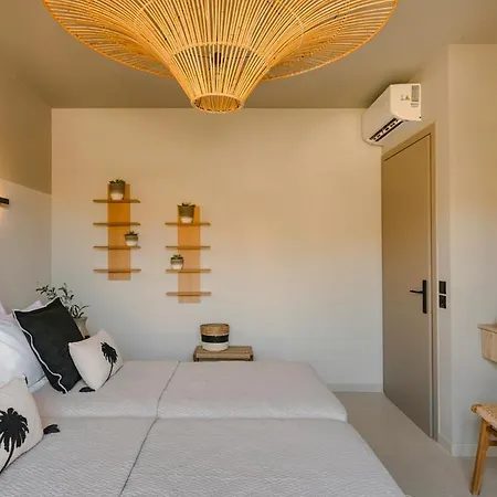 Assos Reverie فيلة *